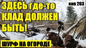 ВЕРНУЛСЯ НА СТАРЫЙ ШУРФ У ПОГРЕБА, НО ...  коп 263