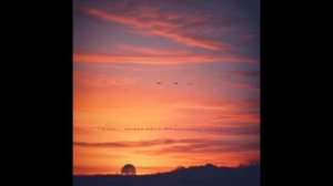 Сердце бьётся