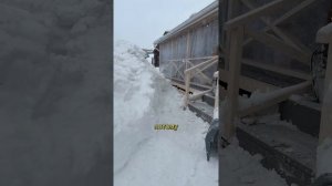 Чистим снег #уралочка #зима #снег