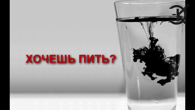 ДЕНЬ ЗАЩИТЫ МОРСКИХ МЛЕКОПИТАЮЩИХ