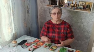19.02.26. Готовлюсь к огородному сезону. Обзор семян. 1-ая часть.