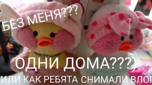 ОДНИ ДОМА? ИЛИ ВЕСЕЛИМСЯ КАК МОЖЕМ)))