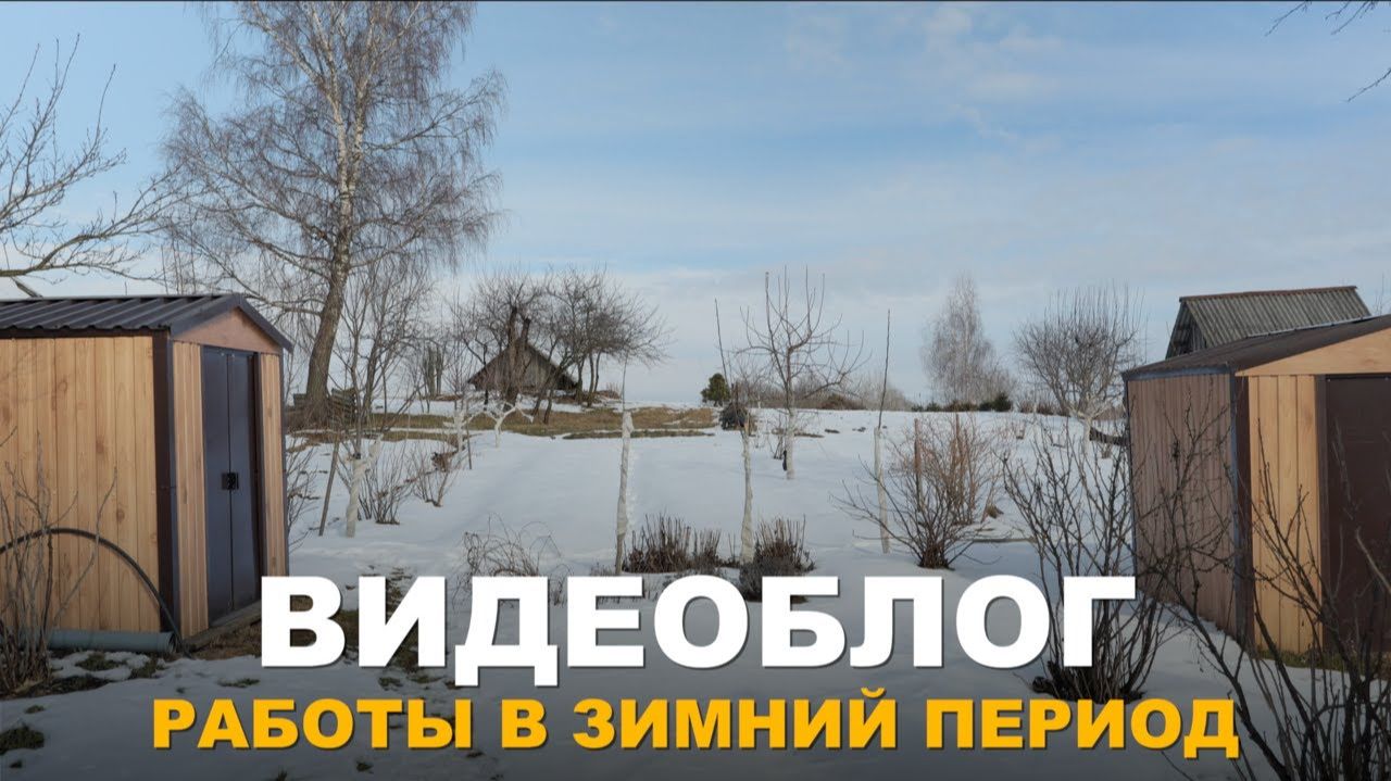 ВИДЕОБЛОГ: ЕЩЁ ЕСТЬ ВОЗМОЖНОСТЬ ПОРАБОТАТЬ НА ЗЕМЛЕ. Работы на участке в зимний период. смотреть онлайн