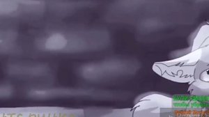 реакция на звёздное око