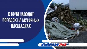 В Сочи наводят порядок на мусорных площадках