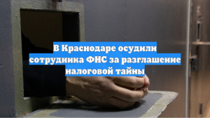 В Краснодаре осудили сотрудника ФНС за разглашение налоговой тайны