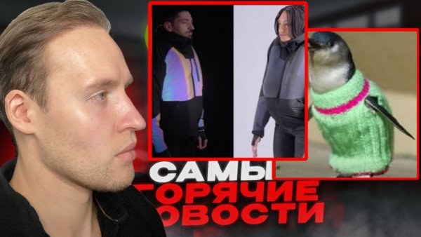 Зимние парады ПИНГВИНОВ-МОДНИКОВ😂Подушка безопасности для велосипедистов...ТОП НОВОСТЕЙ