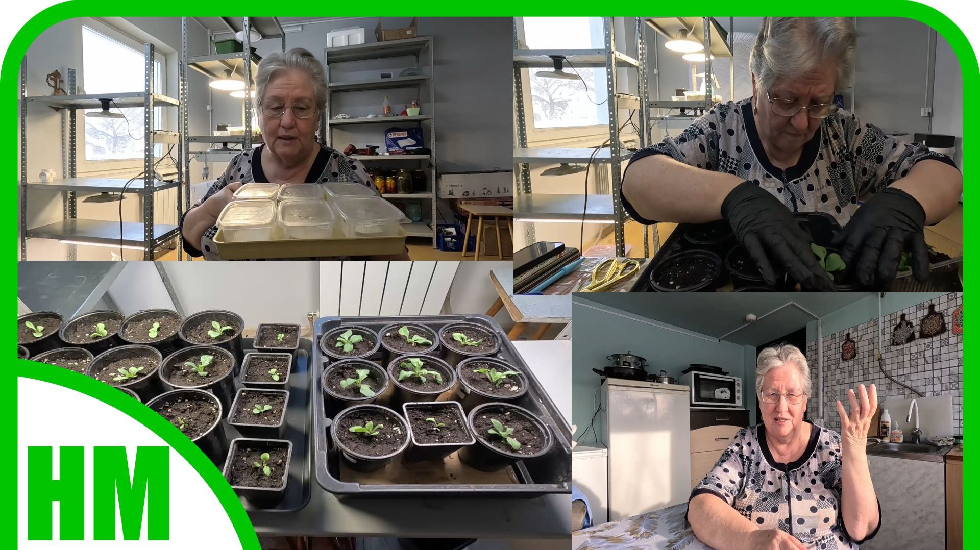 19 февраля. Работа в рассадной. Посеяла перцы. Рассадила петунии. Каким я вижу свой участок. смотреть онлайн