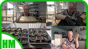 19 февраля. Работа в рассадной. Посеяла перцы. Рассадила петунии. Каким я вижу свой участок.