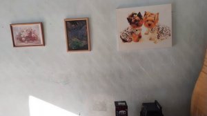 Жизнь в деревне.🏡 Немного приболела.🤒