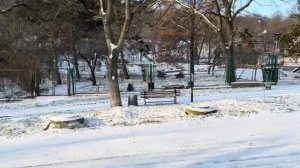 ОДЕССА 19 ФЕВРАЛЯ 2026. НАДО ЕХАТЬ НА ФРОНТ УЖЕ МЕRТВЫМ. ТЦК ЗАБРАЛИ ОТЦА ОДИНОЧКУ.ПИР ВО ВРЕМЯ ЧУМЫ