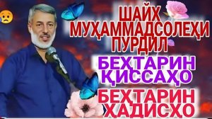 ШАЙХ ПУРДИЛ АМРИ МАЪРУФ ВА ҚИССАҲОИ ИСЛОМӢ АЛАМОВАР