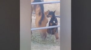 Видео от МЭН - Мне Это Нравится