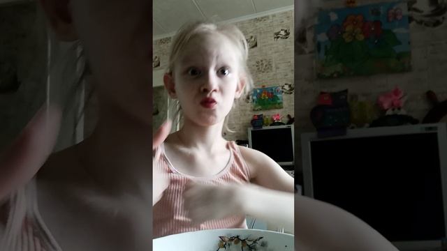 VID_20260219_112807.mp4 смотреть онлайн