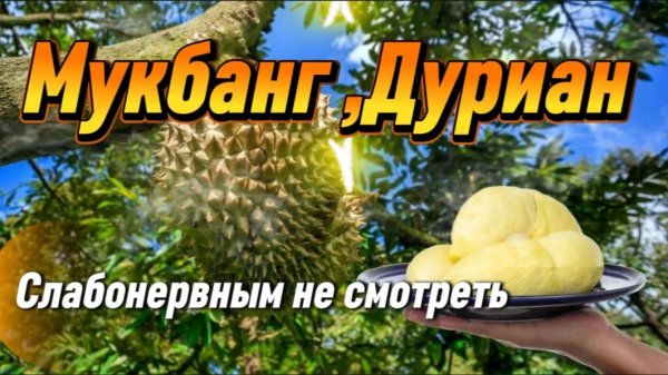 Самый вонючий деликатес в мире / Адский запах или райский вкус Дуриана / Таиланд,Паттайя сегодня /