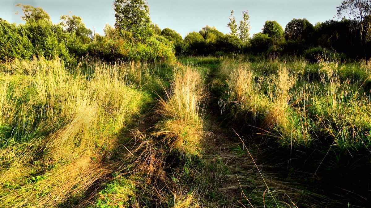 Осенний вояж