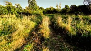 Осенний вояж