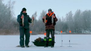 жор щуки.лучшая зимняя рыбалки.вот это клев