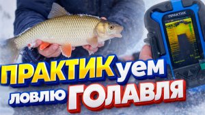 ПРАКТИКуем ловлю ГОЛАВЛЯ зимой. БЕЗМОТЫЛКА на малой лесной реке. Водоемы ДЕТСТВА ч.1