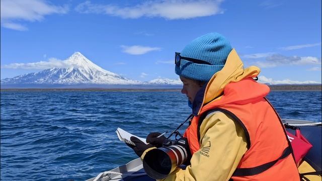 День защиты морских млекопитающих смотреть онлайн