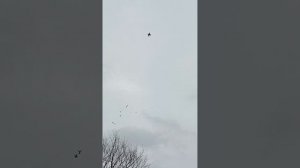 полёт 89895013708 Андрей