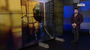 Годовалого медвежонка отловили охотоведы и полиция в Правобережном районе Братска