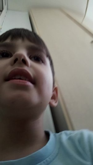 разбор на нойса