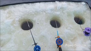 Бешенный клёв от активатора клёва!