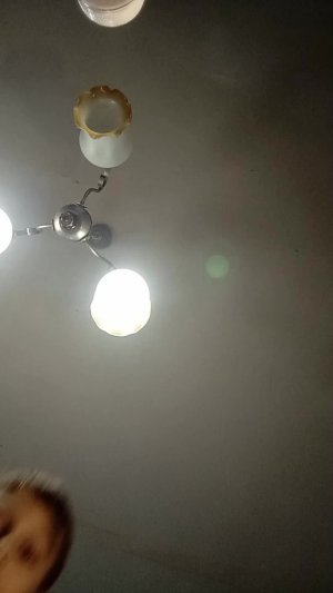 Делаю окружающий мир. Вся карта засрана монголами.