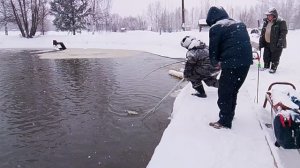 Ловля форели на 1-м Вип РК "Фишка Петряиха"