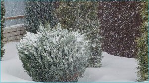 Приглашаю отдохнуть 💕