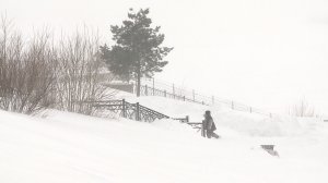 (Рыбинск-40) БЛАГОУСТРОЙСТВО ТЕРРИТОРИЙ: ПЛАНЫ НА 2026 ГОД