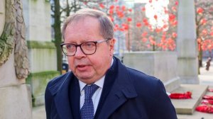 Посол РФ в Лондоне рассказал о давлении США на Британию