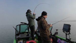 Охота на судака. Рыбалка от рассвета и до заката.