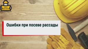 Ошибки при посеве рассады