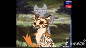 Реакция на Сью из тт! (Не принимайте видео в серьëз/дисклеймер