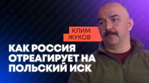 «Это путь к деньгам»: Клим Жуков об иске Польши к России