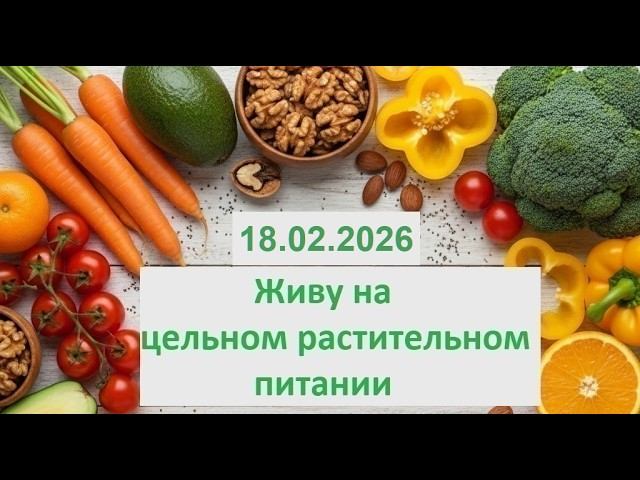 Живу на цельном растительном питании. 18.02.2026