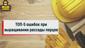 ТОП-5 ошибок при выращивании рассады перцев