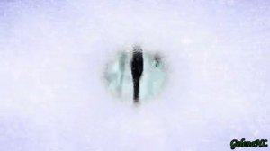 Последний любви поворот... Александр ГамИ