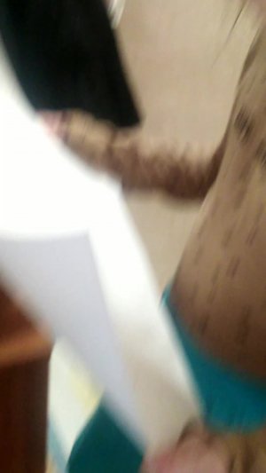 Пиратский квэст