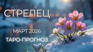 Стрелец ♐ Таро прогноз на март 2026 года