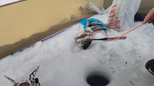 Рыбалка. Плотва на мормышку.mp4