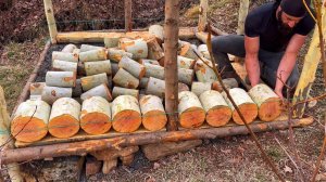 Постройка роскошного укрытия в естественной среде / Выживание на природе !