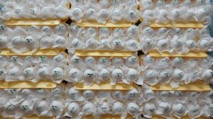 СОБИРАЮ ЗИМОЙ ИНКУБАЦИОННОЕ ЯЙЦО ОТ СВОИХ КУР ВЁДРАМИ!!! КАК ПРАВИЛЬНО ВСЁ УСТРОИТЬ!!! 19.02.2026 г.