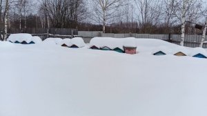 19.02.26. Коротко о Пасеке в Сугробах!!!