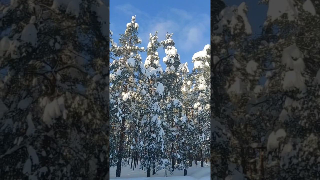 18 Февраля 2026 смотреть онлайн