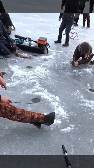 Поймал огромную рыбу, но!.. что-то пошло не так... смотреть онлайн