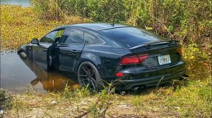 Нашли Audi A7 утопленную в болоте с крокодилами