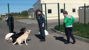 Бесценные специалисты